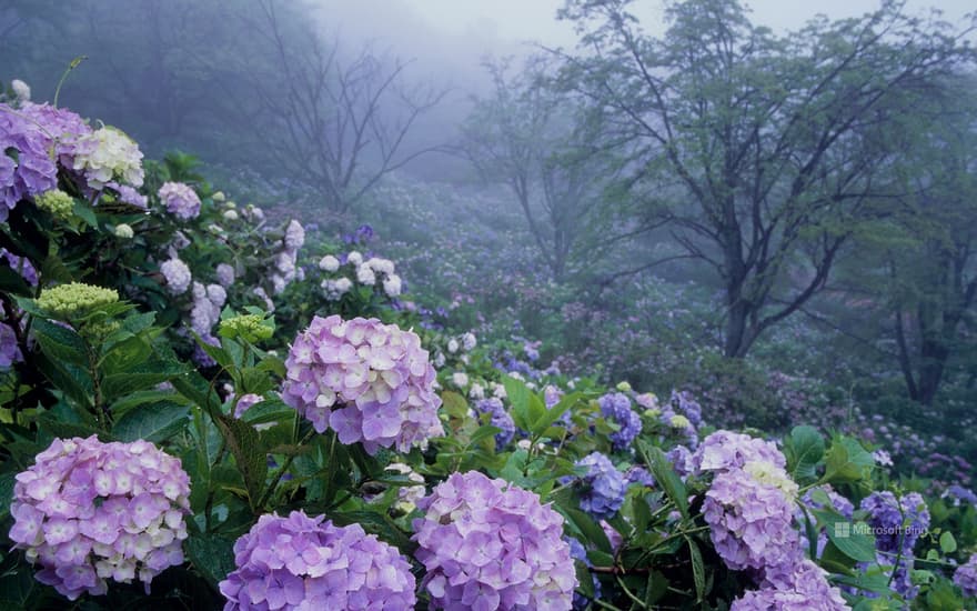 Minoyama Park, Chichibu, Saitama Prefecture