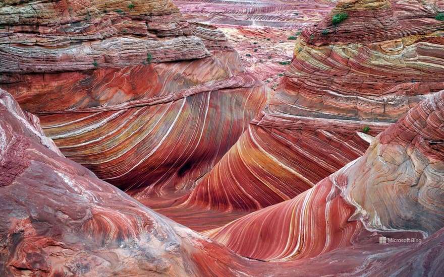 The Wave, Coyote Buttes North, Arizona, USA