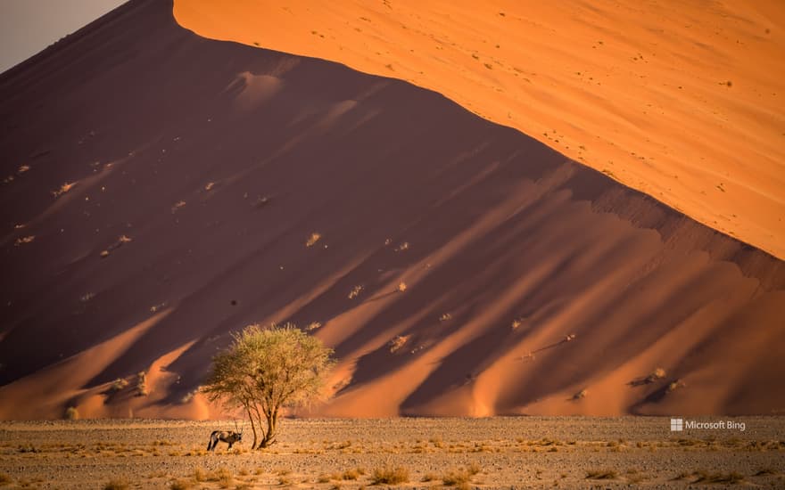 Sossusvlei sand dunes, Namib Desert, Namibia