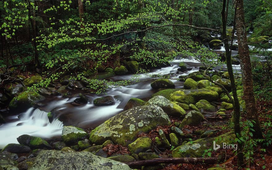 Roaring Fork in Great Smoky Mountains National Park, Tennessee