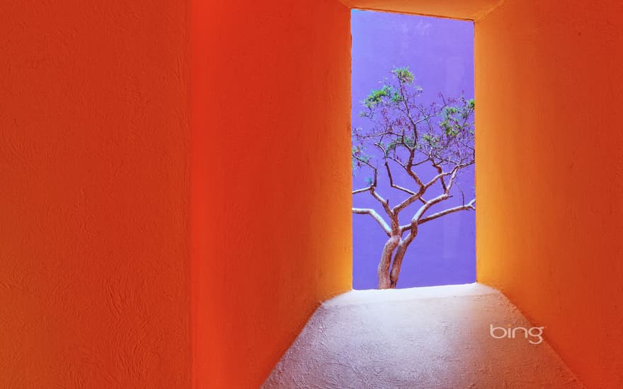 Orange corridor, San José del Cabo, Mexico