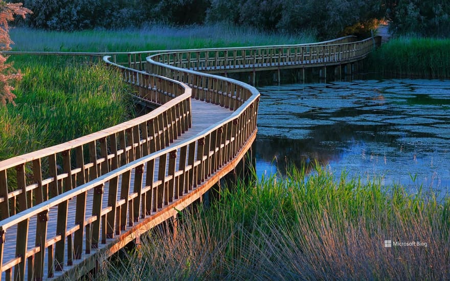 Tablas de Daimiel National Park, Castilla-La Mancha, Spain