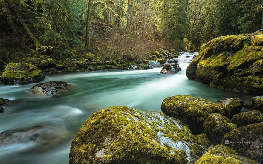 Tamihi Creek near Chilliwack, B.C.