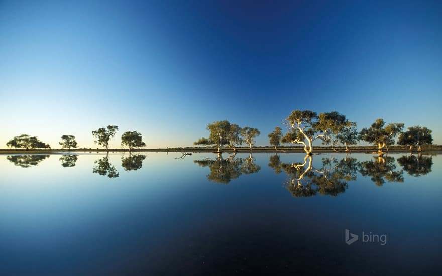 A billabong in Wooleen Station, Western Australia